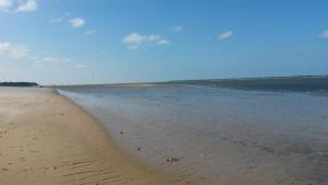 Appartements Studio joigny Pereire : photos des chambres