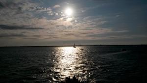 Appartements Studio joigny Pereire : photos des chambres