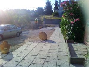 Maria Gerokonstanti Studios