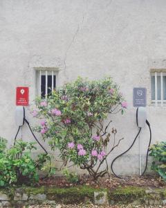 Maison d'Hôtes Moulin Saint Julien photo 18