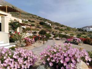 Anemos and Almyra Syros Greece