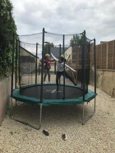 Maisons de vacances Gite la Briantaise : photos des chambres