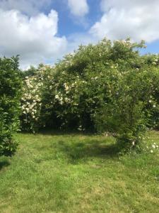 Maisons d'hotes Les chambres d’hotes de Ranes : Suite - Vue sur Jardin