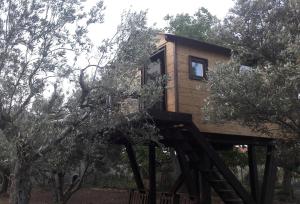 Cabane dans les Arbres - Noyer
