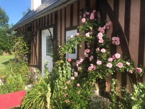 Maisons de vacances Gite les Nenuphars : photos des chambres