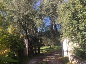 Maisons de vacances Villa Le Niaouli : photos des chambres