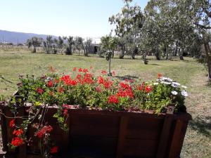 B & B Country House img13