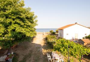 Agatha house
