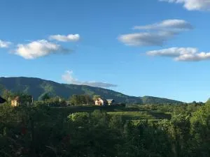 Pensiune Daniela - Căpăţîneni-Ungureni