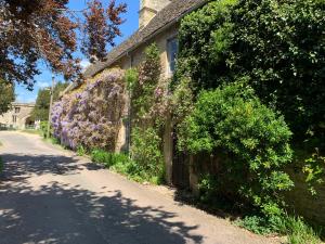 Pansion Pytts House Boutique Bed & Breakfast Burford Suurbritannia