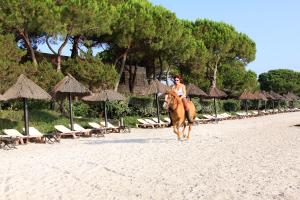 Hotels Hotel & Lodges Moby Dick : photos des chambres