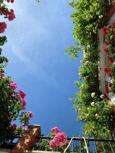 Georgianas Guesthouse