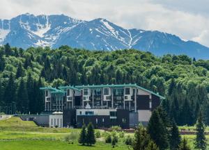 Silver Mountain A21 Friendly Apartment