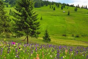 Lörincz Vendégház