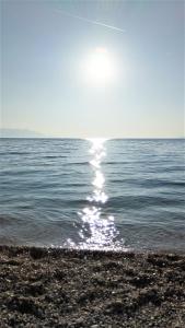 House Mergl Gradac