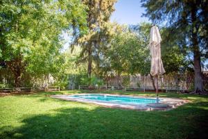 Kalahari Camelthorn Guesthouse and Camping