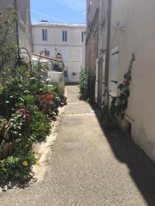 Appartements Petit nid a 50m de la plage au coeur de Fouras : photos des chambres