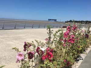 Petit nid à 50m de la plage au coeur de Fouras