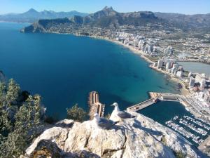 CALPE9A