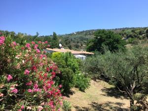 Maisons de vacances Villa Souleiadito dans le Golfe de Saint Tropez : photos des chambres
