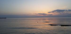 SAND APARTMENTS near by sea and center of Palanga