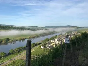 Wein- und Gästehaus Genetsch - Mülheim an der Mosel
