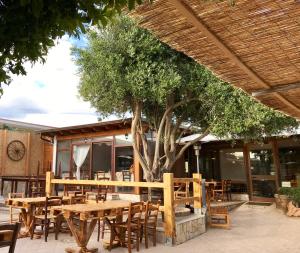 LOCANDA VECCHIA FATTORIA img14