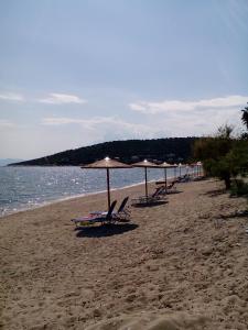 Iordanis Kavala Greece