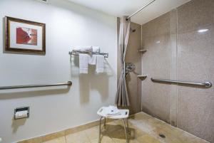 Budgetel Inns & Suites - Atlanta Galleria Stadium