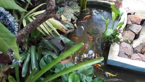 Sun smile(cafe & homestay)