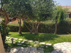 Glyfada Apartment Ag3g 129 Corfu Greece