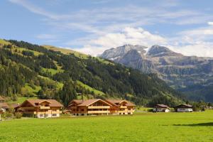 4 star appartement Ferienlenk Mountain Village Lenk Zwitserland