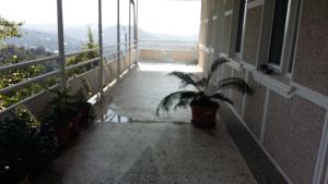 Апартаменти с бассеином