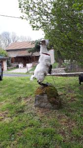 Sejours a la campagne GITE 