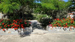 Marinas Garden Lesvos Greece