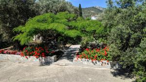 Marinas Garden Lesvos Greece