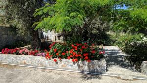 Marinas Garden Lesvos Greece