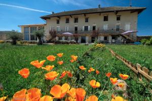 Maisons d'hotes Le Domaine : photos des chambres