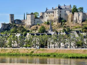 Maisons de vacances Gorgeous Mansion in Thizay with Private Swimming Pool : photos des chambres