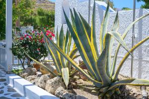 Filoxenia Apartments Milos Greece