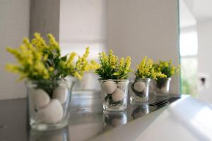 Apartment Arna 