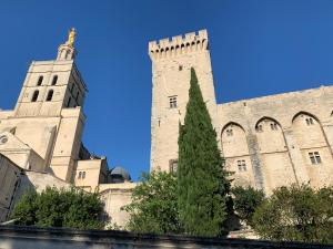 Appartements face au Palais des Papes : photos des chambres