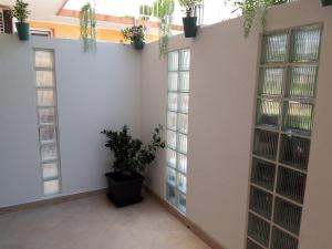 Apartments Rako MI