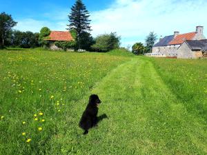 Maisons de vacances L' Anpeg, gite dans le Cotentin jusqu'a 8 personnes : photos des chambres