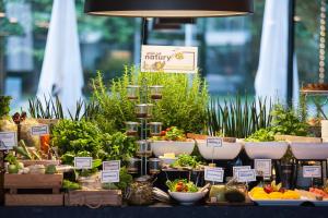 Q Hotel Plus Kraków