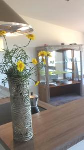 CORSE - Lumio, Balagne petite maison loft, vue imprenable sur le Golfe de Calvi