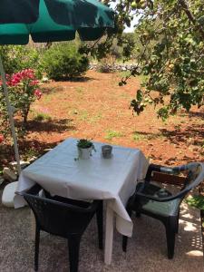 Studio with Terrace room in Apartments with a parking space Bozava Dugi otok - 8108