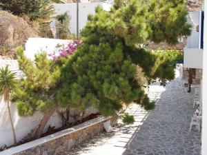 Homer's Inn Hotel Ios Greece
