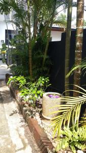 Araliya Residence - Apartment