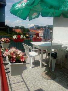 Guest House Olbina